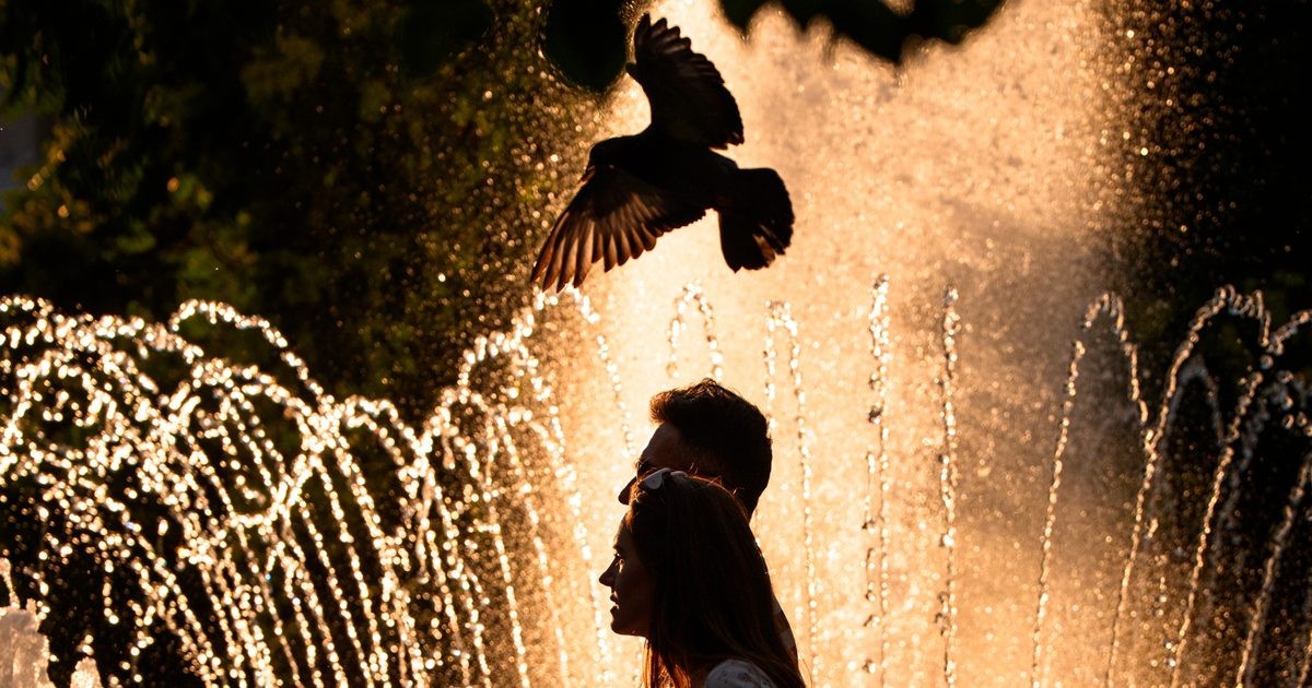 Ola de calor en Europa: mil muertes en Francia por un sistema roto