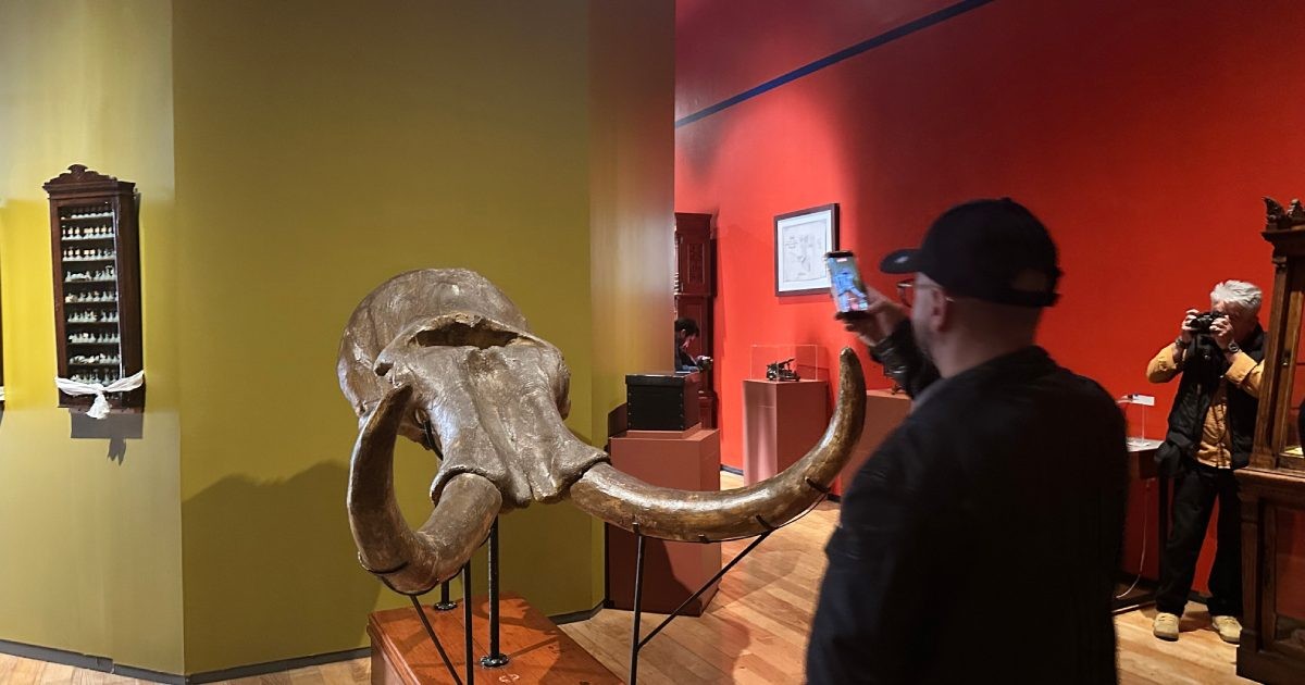 La UNAM celebra 475 años con una expo monumental en San Ildefonso: 600 piezas para defender la universidad pública